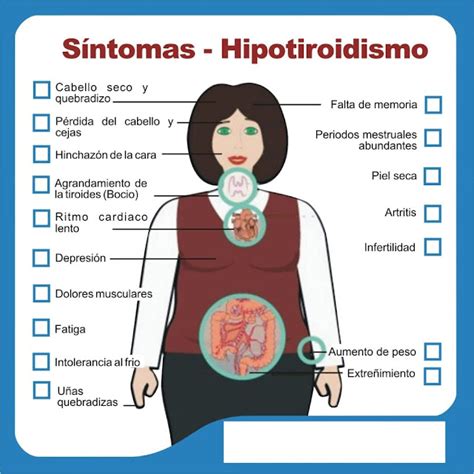 CASO PRÁCTICO DIETA HIPOTIROIDISMO solucionario