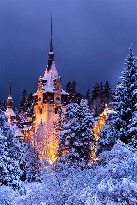 Wallpaper Romania Sinaia Peles Castle Winter Trees Snow Night