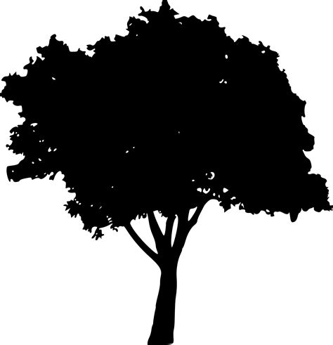Tree silhouette free transparent png 31. 45 Tree Silhouettes PNG Transparent Background | OnlyGFX.com