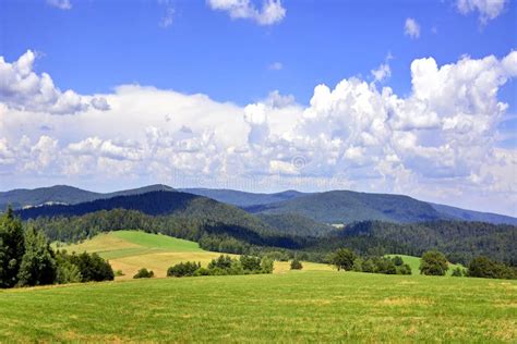 Beautiful Summer Landscape In The Mountains With Green Meadows And