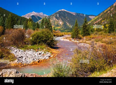 Fall Color Along Mineral Creek Under Red Mountain Pass San Juan