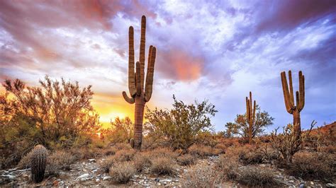 Arizona Desert Wallpapers Top Những Hình Ảnh Đẹp