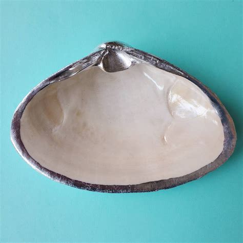 Gilded Clam Shell From Wellfleet Cape Cod Trinket Dish Large Etsy