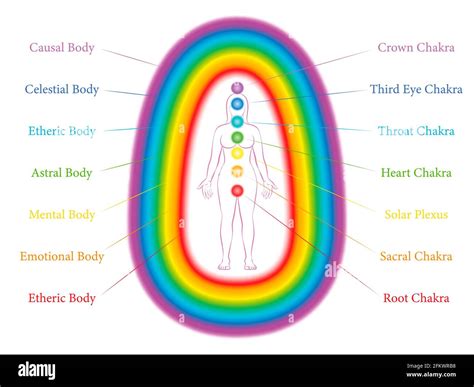 Seven Main Chakras And Corresponding Aura Layers Of A Standing Woman