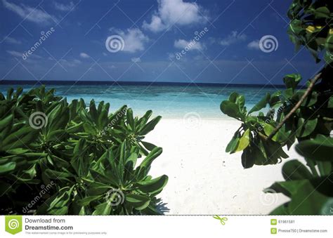 Asia Indian Ocean Maldives Seascape Beach Stock Image Image Of