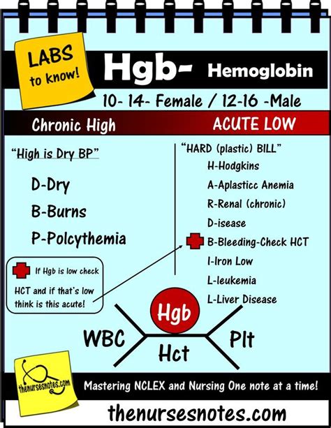 CBC Complete Blood Count Hematocrit WBC Platelets Hgb HCT BMP Chem7