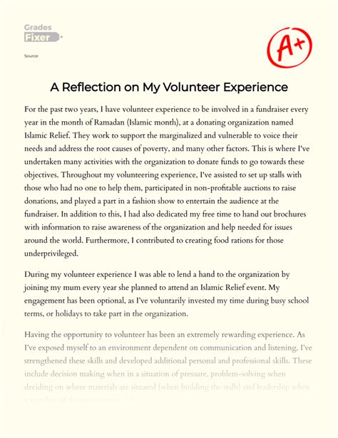A Reflection On My Volunteering Experience Essay Example 441 Words
