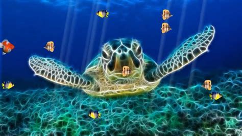 Ocean World Animated Wallpaper Youtube
