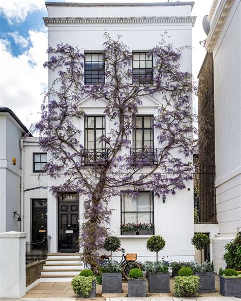 House Covered In Spring Wisteria In Kensington London Architecture