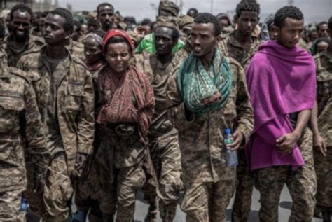 The War Nerd The Tigray Ethiopia War Naked Capitalism