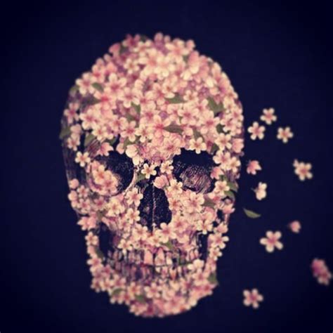 Pink Daisy Skull Skull My Flower Flowers Pink Daisy Memento Mori I