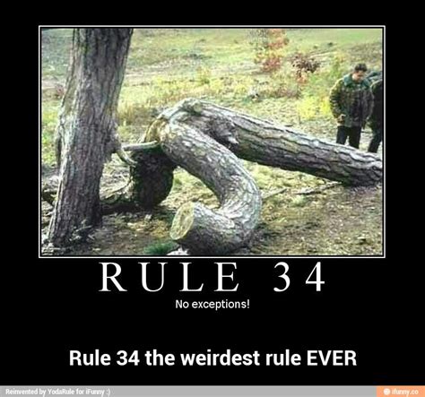 No Exceptions Rule 34 The Weirdest Rule EVER Rule 34 The Weirdest