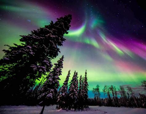 Northern Lights Alaska Aurora Borealis Photo 40697762 Fanpop