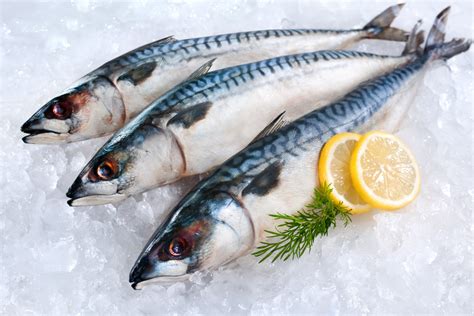 9 Ikan Yang Bagus Untuk Kesehatan Bumil Coba Yuk