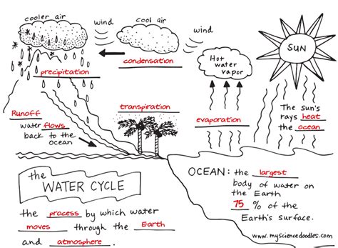 Water Cycle Diagram And Explanation