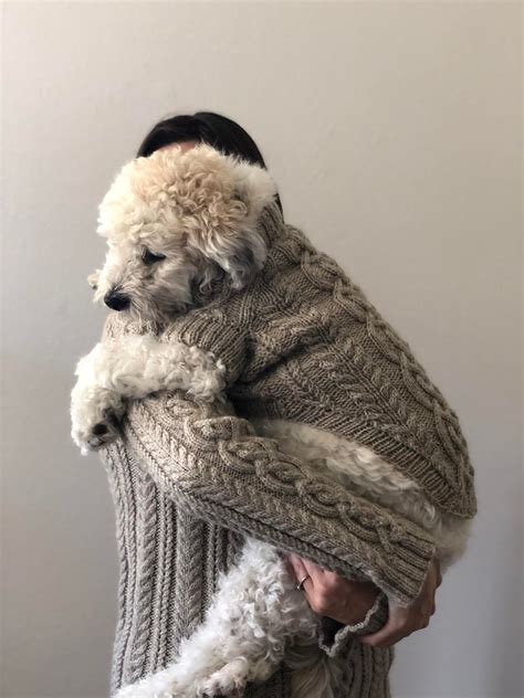 My Dog And I Now Have Matching Sweaters Knitting