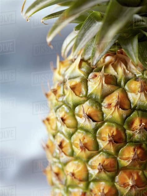 Whole Pineapple Close Up Stock Photo Dissolve