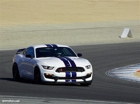 2016 Ford Mustang Shelby Gt350rpicture 15 Reviews News Specs