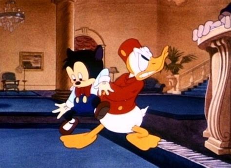 Donald Duck Comic Classic Cartoons Disney Characters Fictional