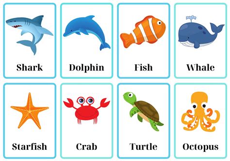 Sea Animal Flashcards Etsy