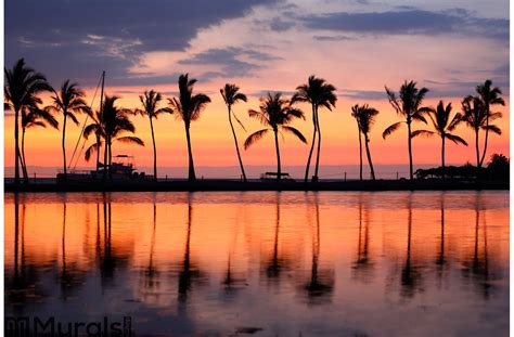 Paradise Beach Sunset Tropical Palm Trees Wall Mural