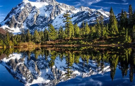 Wallpaper Forest Trees Mountains Lake Reflection