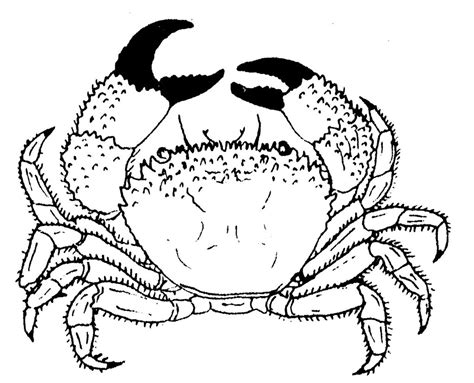 Coloriages Crabe Animaux Dessins Colorier Coloriages Imprimer