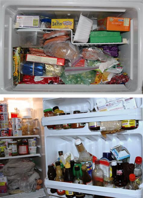Tips For Organizing A Refrigerator And Freezer Kitchn