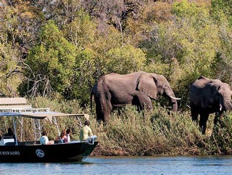 Zambezi River Safari Wild Horizons