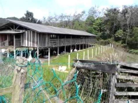 House of kambing maeps ecofarm. KANDANG KAMBING IHSAN - YouTube