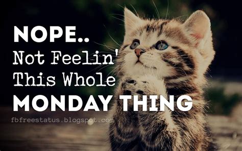 Happy Funny Monday Quotes To Make You Smile Monday Humor Quotes