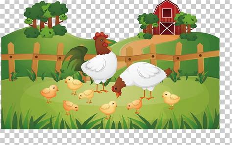 Animal Farm Chicken Rooster Poultry Farming Png Clipart Agriculture