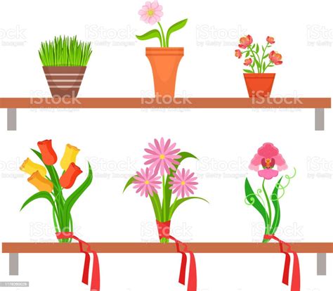Collection Of Potted House Plants And Bouquets On Wooden Shelves Flower