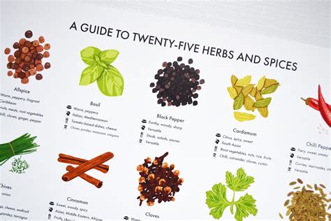 Herbs And Spices Guide Poster A4a3a2 Kitchen Print Food Etsy