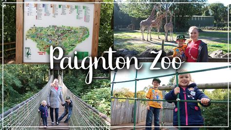 My Paignton Zoo Review Take A Look Around Paignton Zoo And See What