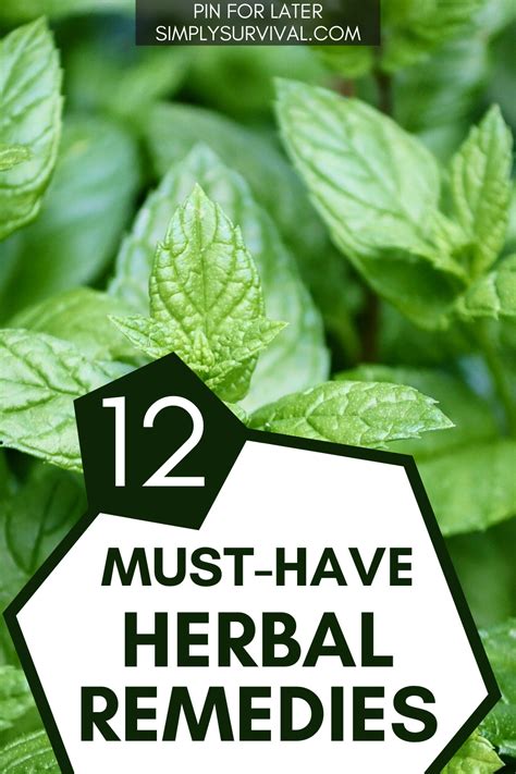 12 Must Have Herbal Remedies Natural Remedies Holistic Healing