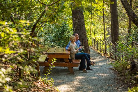 Best Picnic in Napa | Try Something Fun
