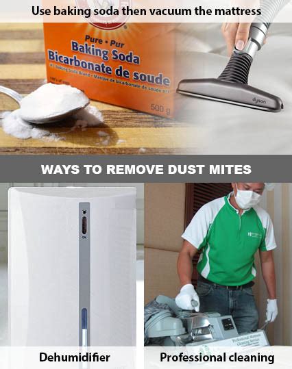 How To Remove Dust Mites From A Mattress