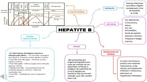 Hepatite B Imunologia Mapa Mental Youtube