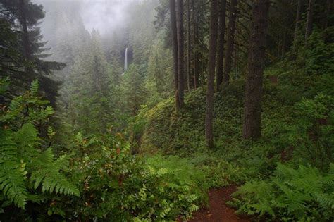 Silver Falls State Park Oregon A Seven Mile Loop Takes You By 10