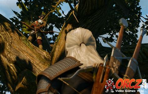 Witcher 3 Contract Woodland Beast The Video Games Wiki
