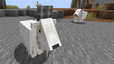 How To Tame A Goat In Minecraft Rock Paper Shotgun