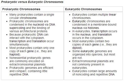 A eukaryotic ribosome is usually 80s. 10 best 'Ben Springs-Cell types'. images on Pinterest ...