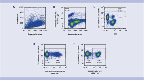 Immunophenotyping Car T Cell Effector Cytokine Production Miltenyi