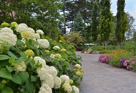 Coastal Maine Botanical Gardens Things To Do In Boothbay