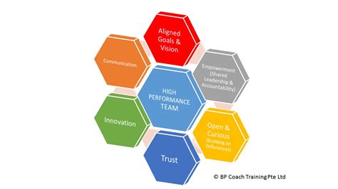 Developing High Performing Leaders Bp Coach Training Pte Ltd