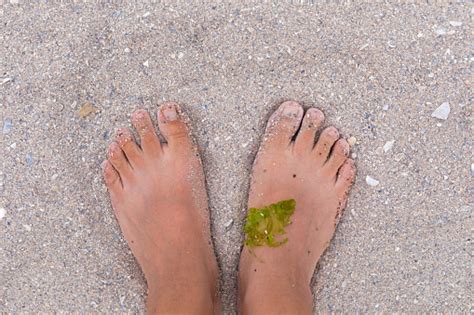 Bare Feet At The Beach Stock Photo Download Image Now Active