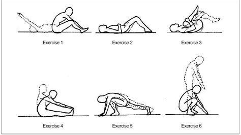 Williams Flexion Exercises