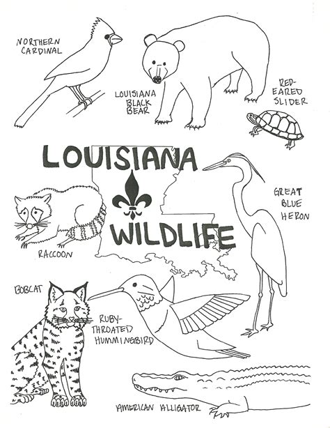 Louisiana Wildlife Coloring Page Beat Up Road Sign