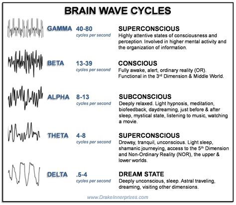 Brain Wave Cycles Brain Waves Brain Facts Levels Of Consciousness